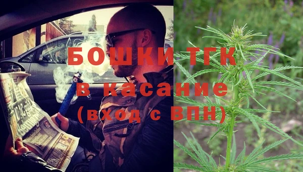винт Алексин