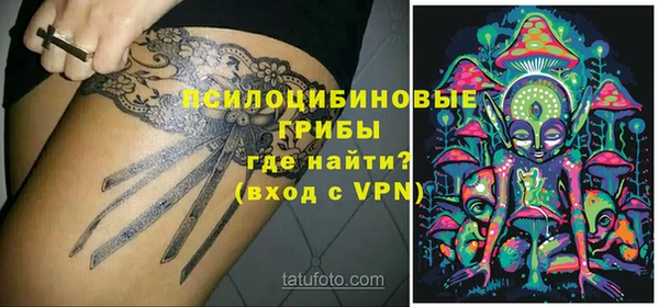 apvp Алзамай