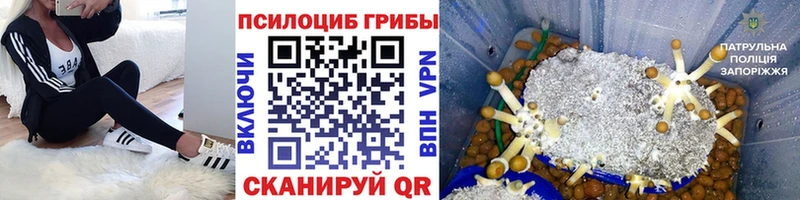 Галлюциногенные грибы мицелий  цены   Учалы 